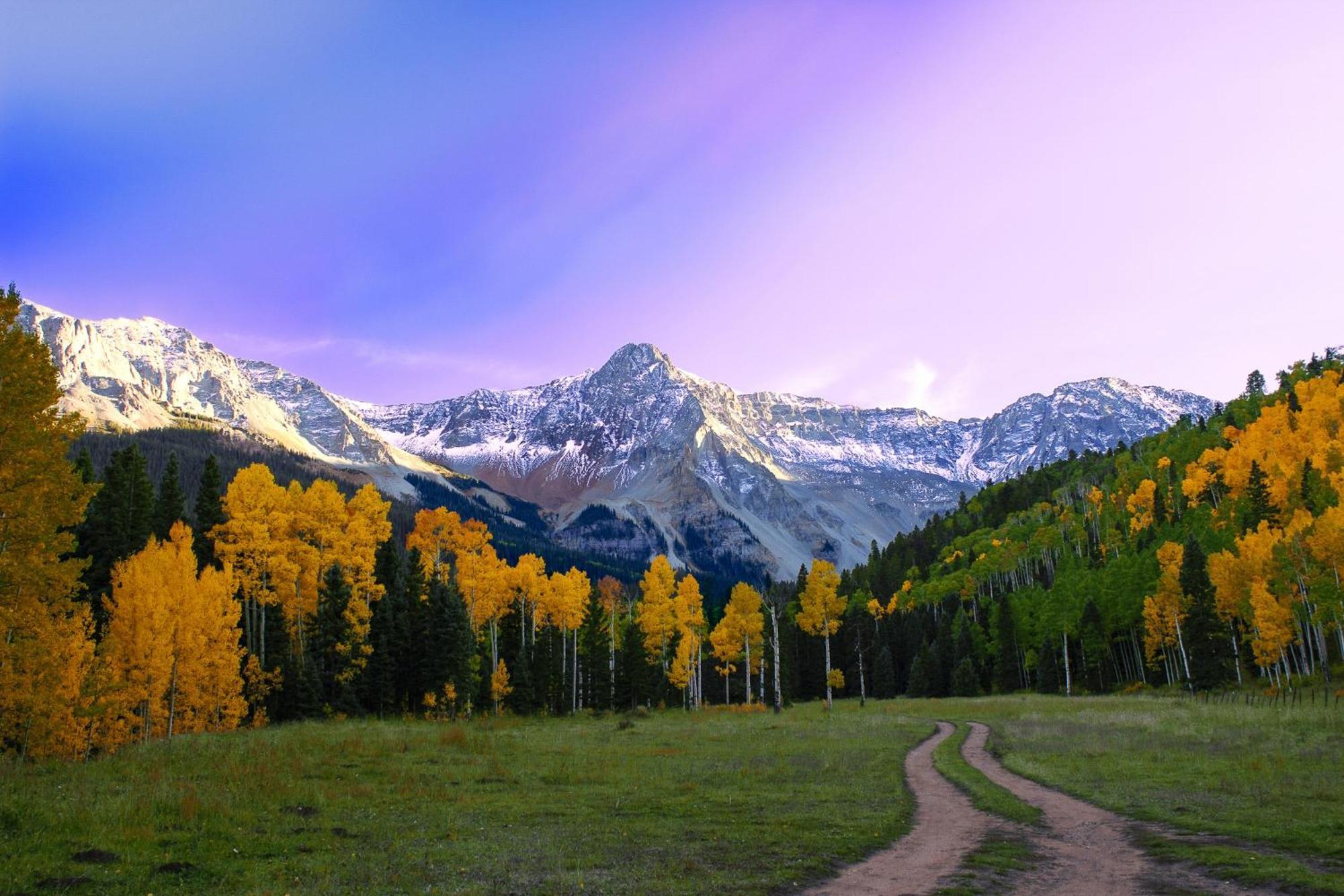 Viking Lodge Telluride Rom bilde